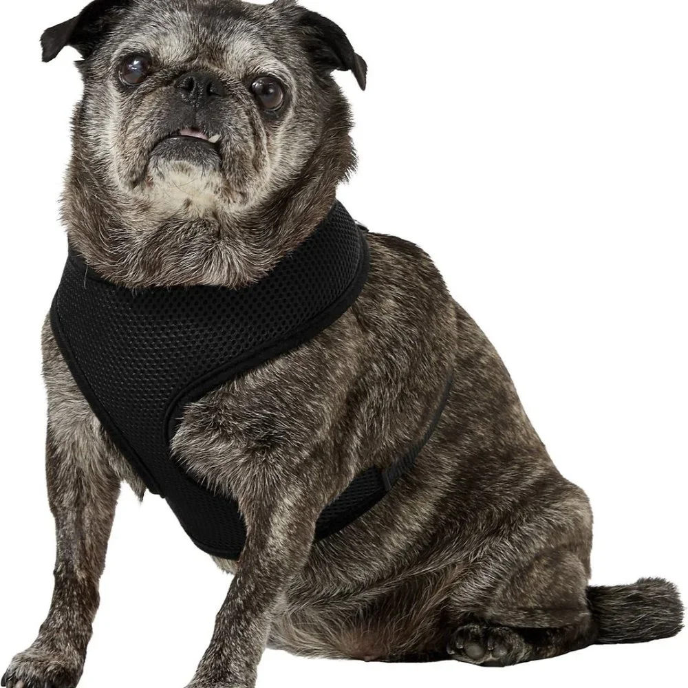NWT Four Paws Walk-About Comfort Control Dog Harness Black Large